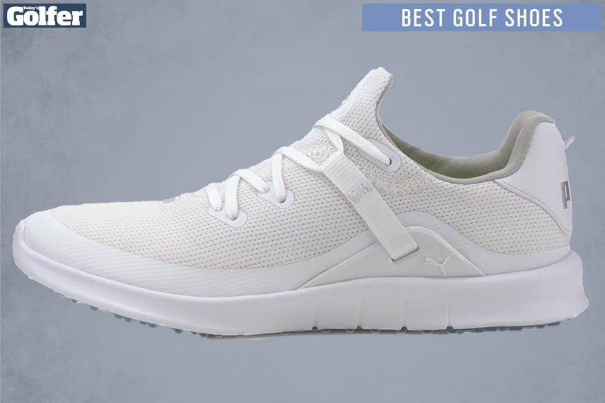 Puma Laguna