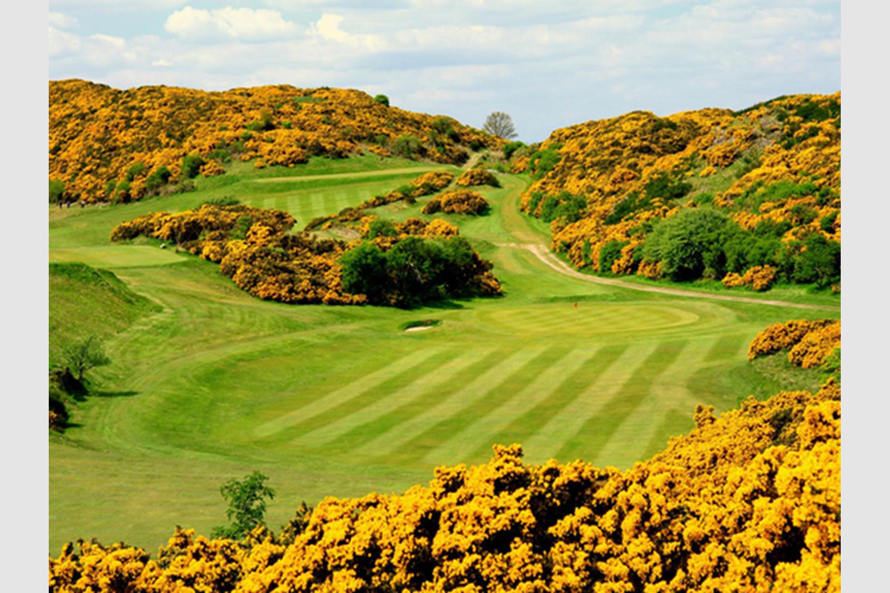 Braid Hills Golf Club Golf Course in EDINBURGH Golf Course Reviews