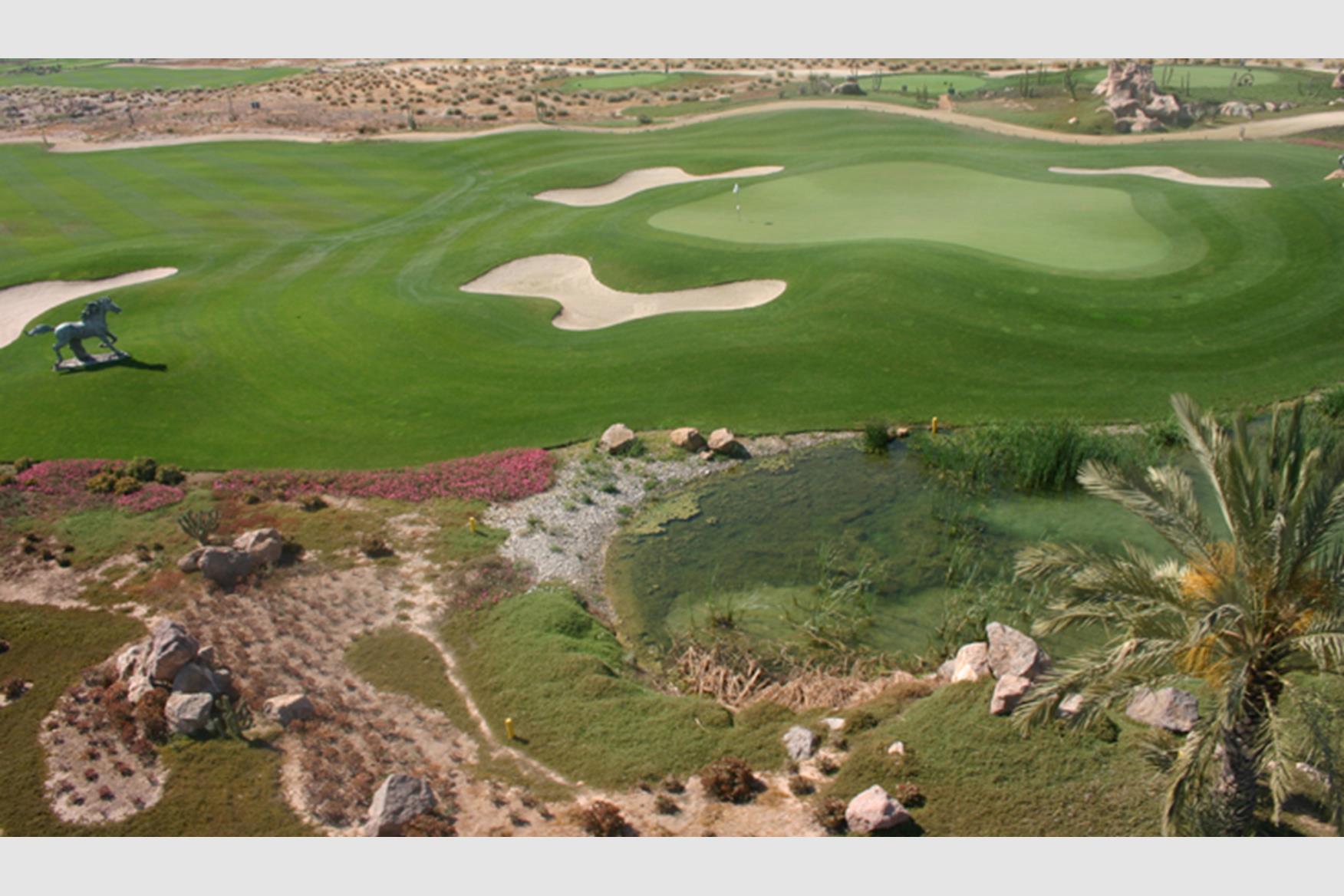 Desert Springs Golf Resort Golf Course in Golf Course Reviews