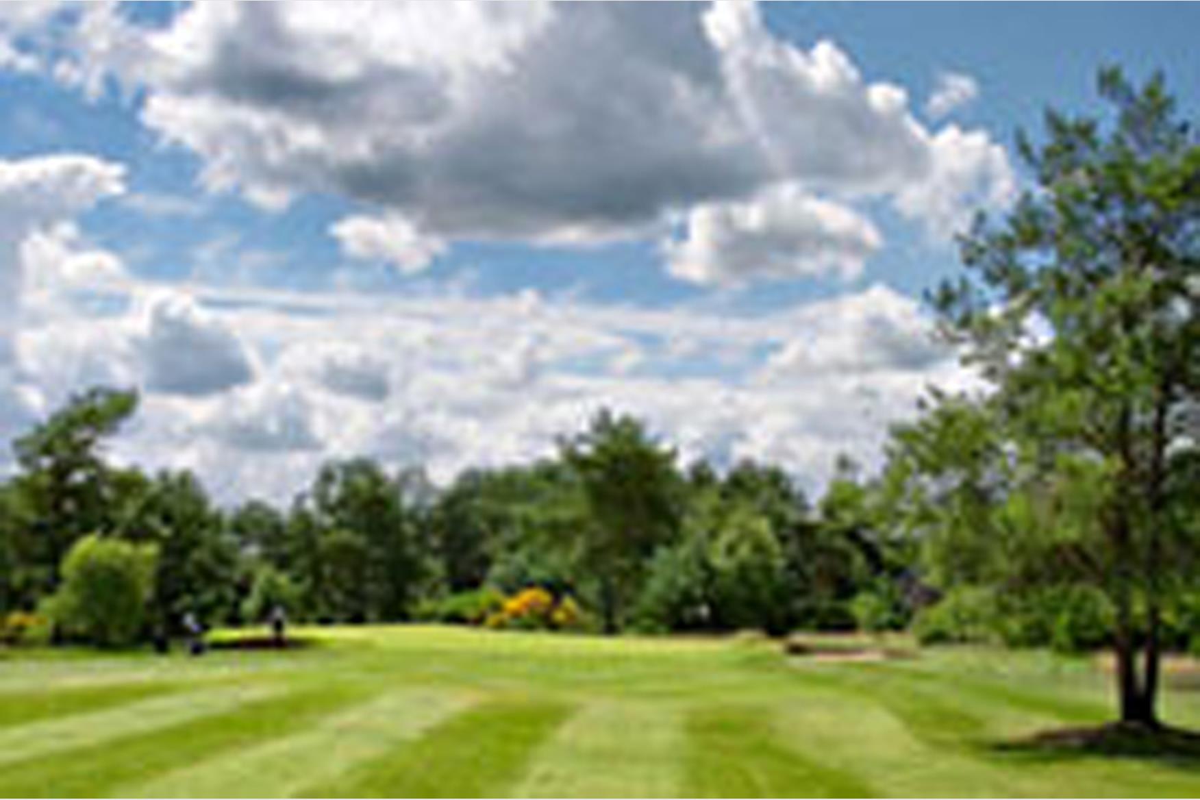 Ladybank Golf Club Golf Course in CUPAR Golf Course Reviews