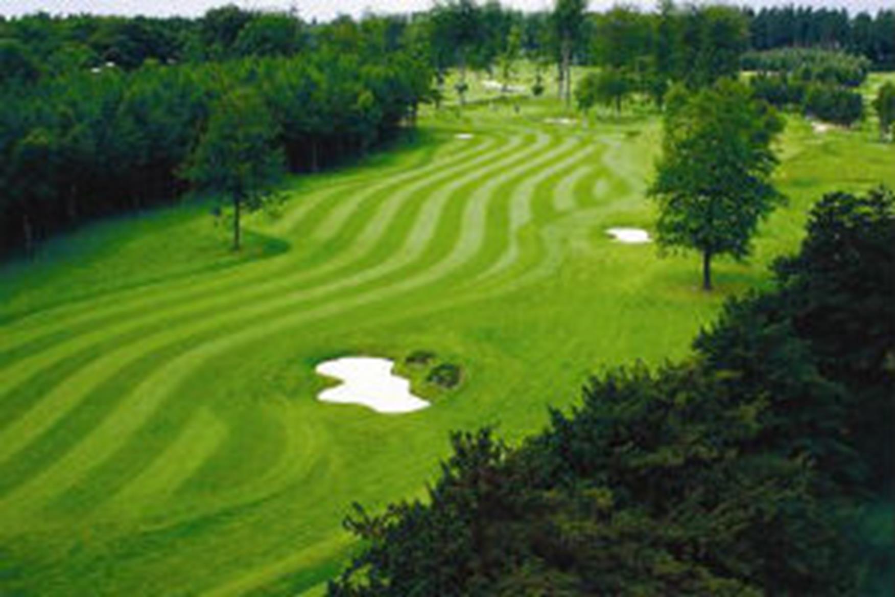 Forest Pines Golf Course & Country Club Hotel Forest/Pines Golf