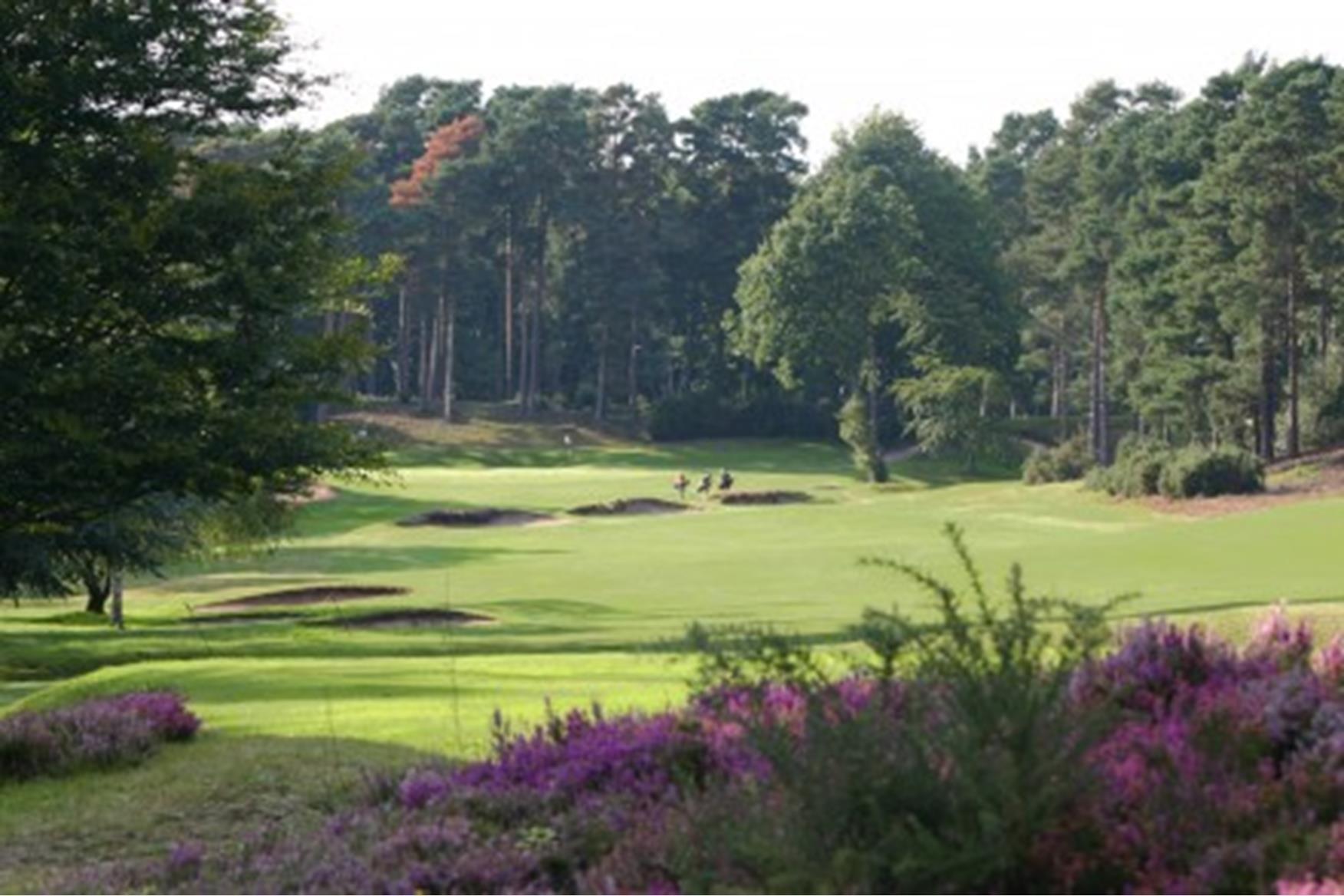 St Hill Golf Club Golf Course in WEYBRIDGE Golf Course