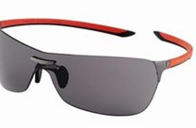 smith shelter sunglasses