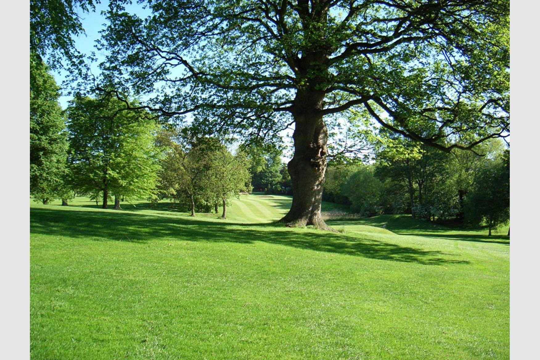 Blackwell Grange Golf Club Golf Course in Darlington Golf Course