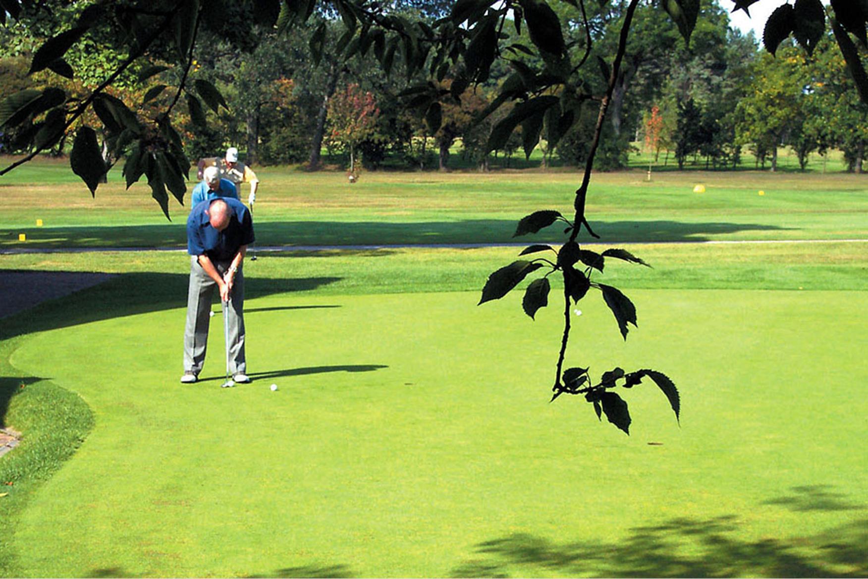 Darlington Golf Club Golf Course in DARLINGTON Golf Course Reviews