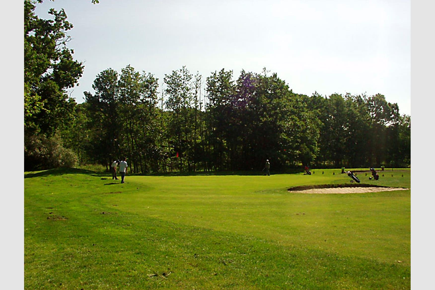 Ferndown Forest Golf Club Golf Course in FERNDOWN Golf Course