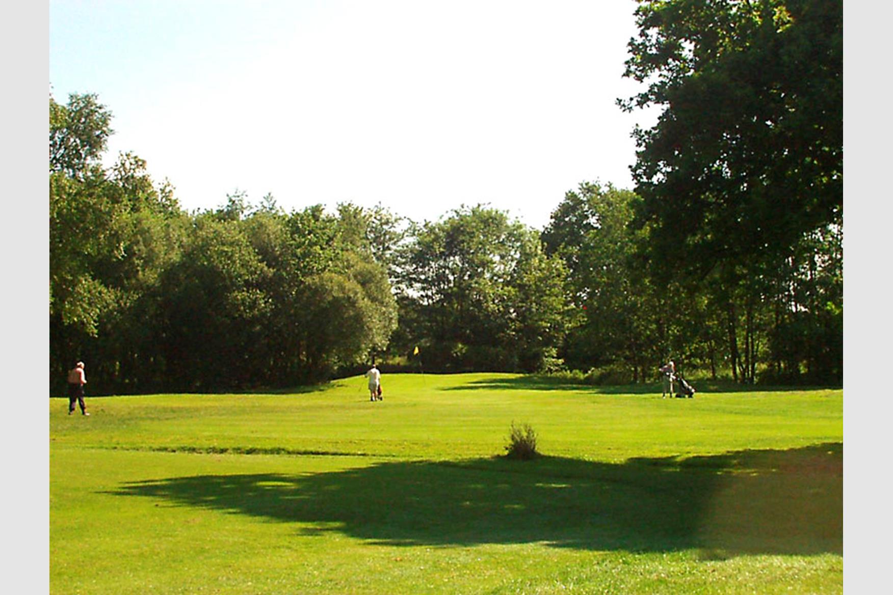 Ferndown Forest Golf Club Golf Course in FERNDOWN Golf Course