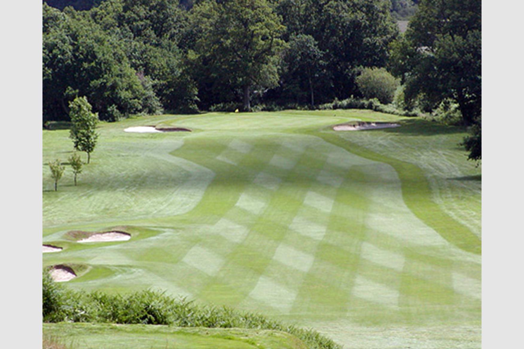 Betchworth Park Golf Club Golf Course in DORKING Golf Course