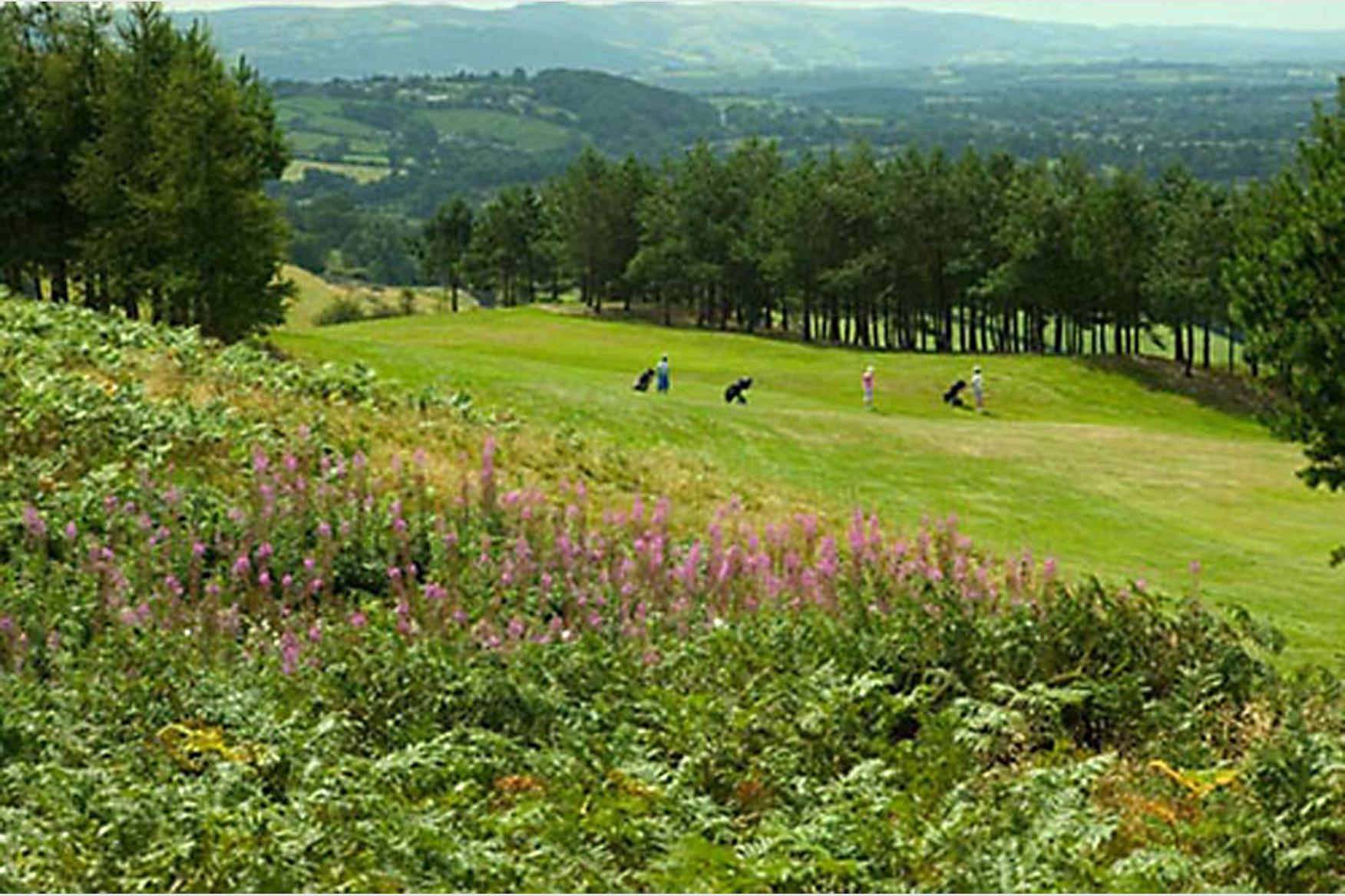 Llandrindod Wells Golf Club Golf Course in LLANDRINDOD WELLS Golf