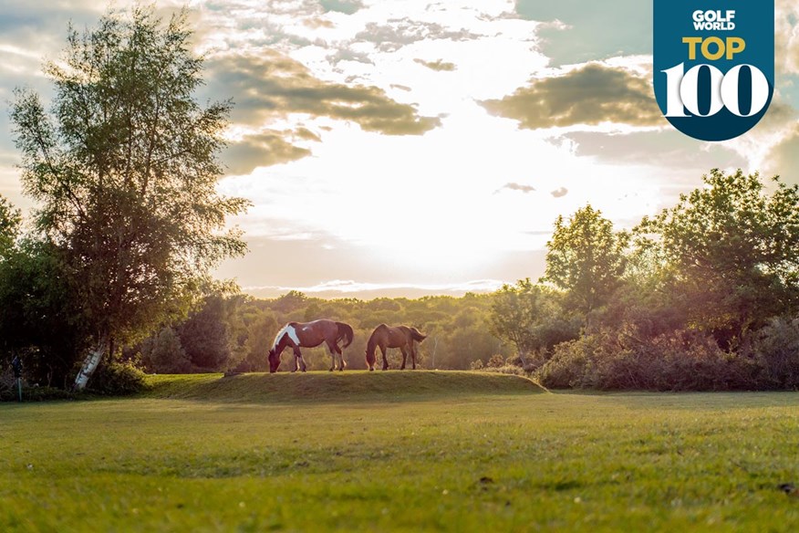 The New Forest is one of the best golf courses you can play for under £35