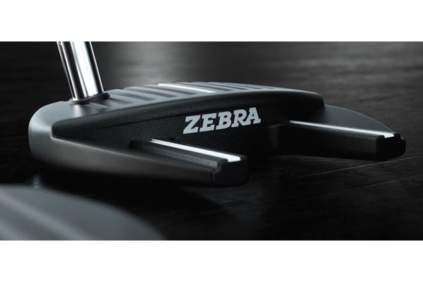 The back of a Zebra putter 