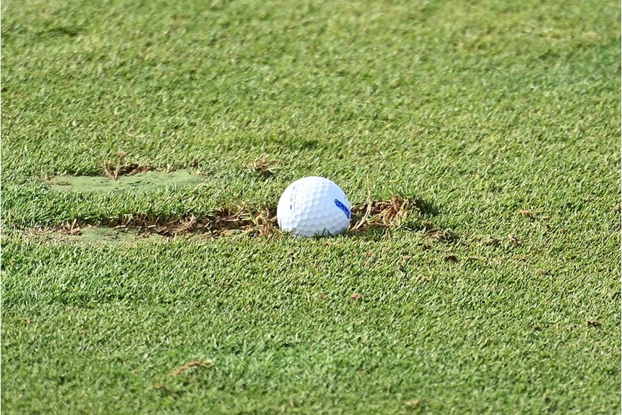 A golf ball in a fairway divot!