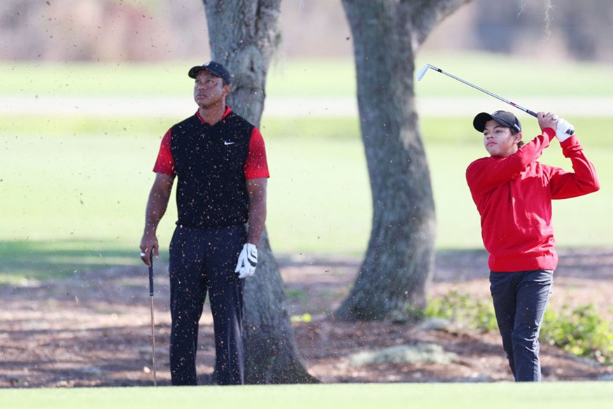 Tiger and Charlie in the fairway.