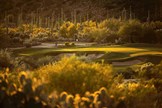 Dove Mountain is one of the courses on the RGV Tour 2.0