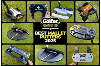 Best Mallet Putters 2025