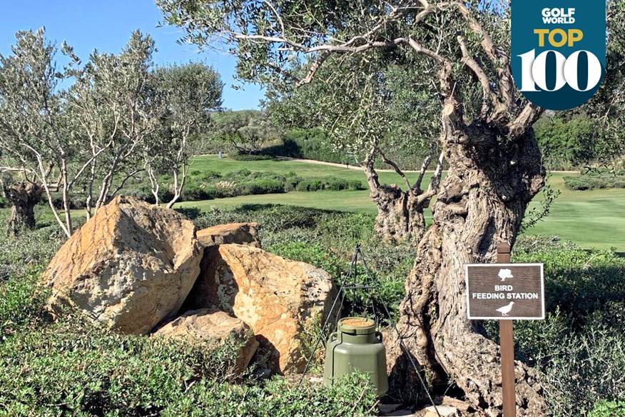 Finca Cortesin bird-feeding station