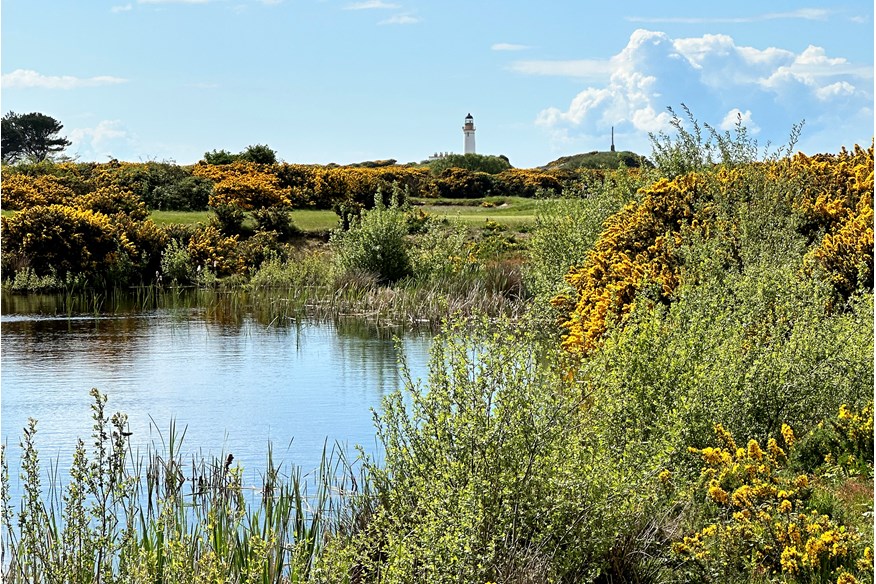 A view of the lighthouse from Turnberry's Robert the Bruce course. Ailsa Club members can play the course unlimited times.