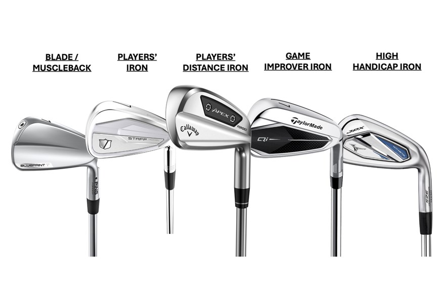 The shapes and profiles of the five different types of irons 