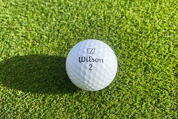 Wilson Staff Model Golf Balls