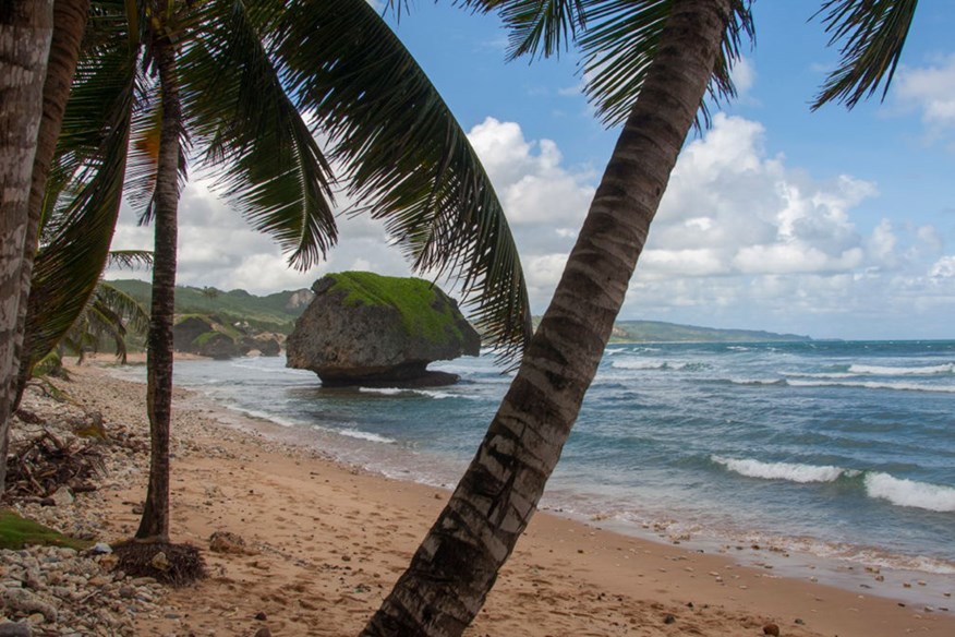 Bathseba Beach Barbados