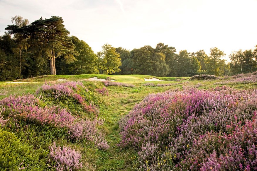 Liphook is a wonderful option for an away day.