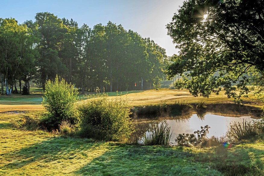 The 17th hole on Royal Ashdown Forest West.