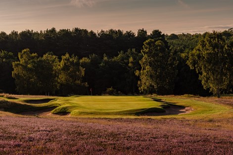Sherwood Forest Golf Club is renowned for its fantastic greens
