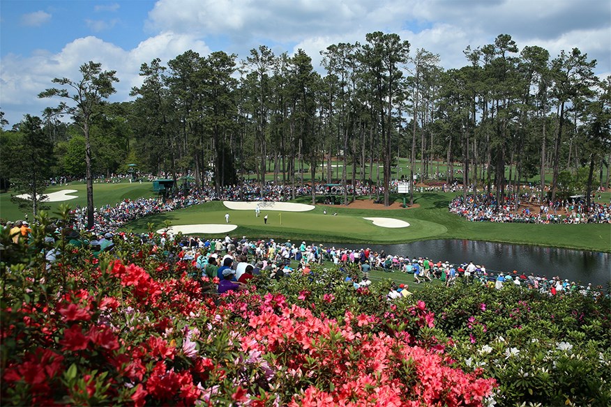 Plants and Scrubs at Augusta National