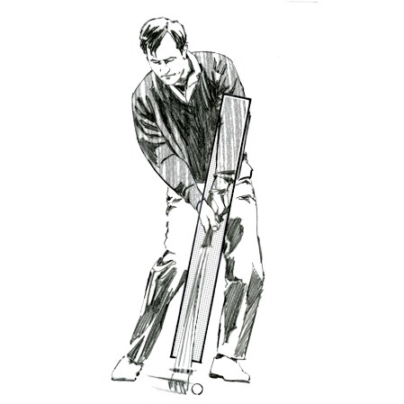 Seve tips 2
