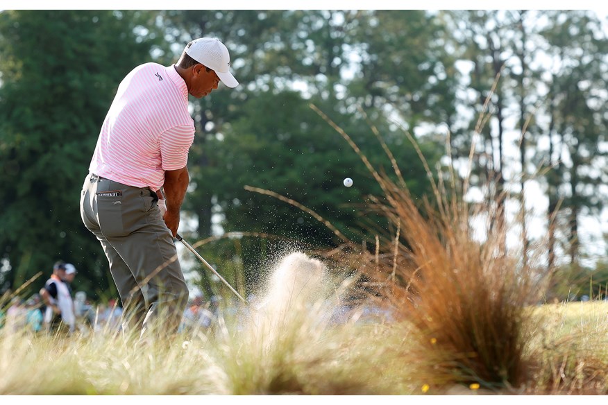 Tiger Woods from out the native area at Pinehurst No.2