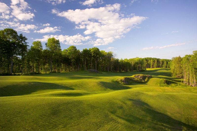 Greywalls, Michigan