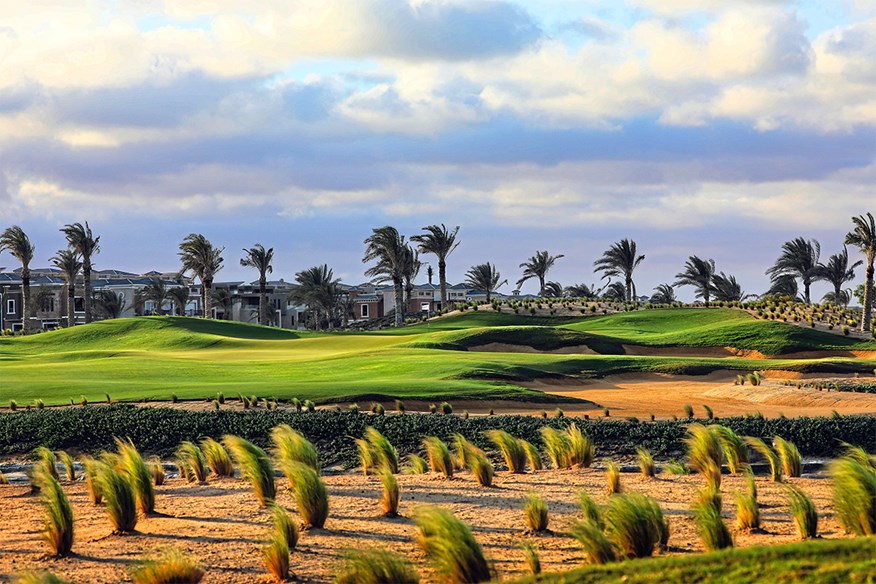 New Giza Golf Course