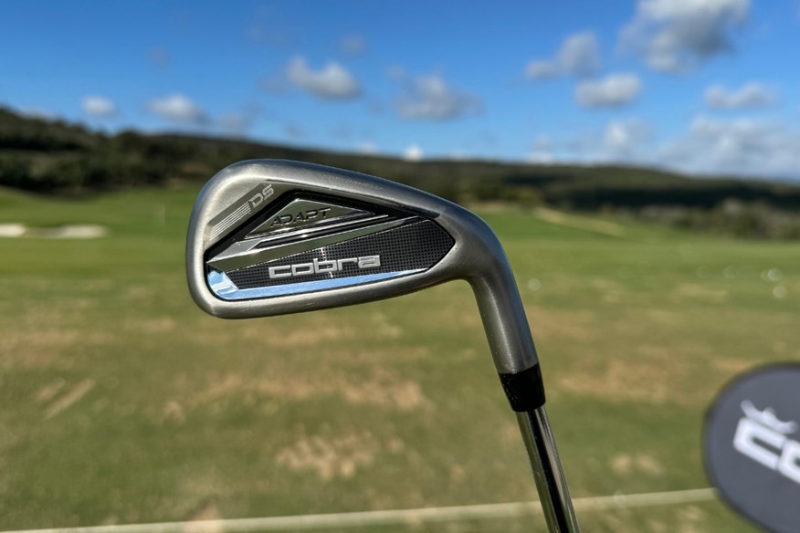 Cobra DS-ADAPT Irons