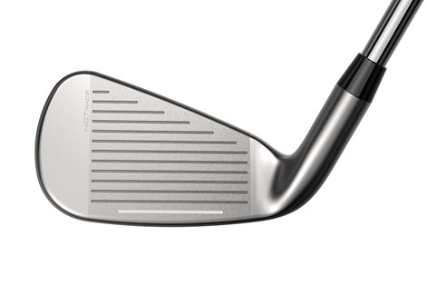 The face of the Cobra DS-ADAPT Irons