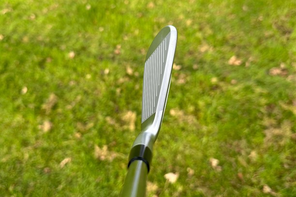 Mizuno JPX 925 Forged Irons from address position