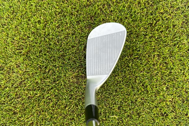 The Mizuno Pro T-3 Wedge at address