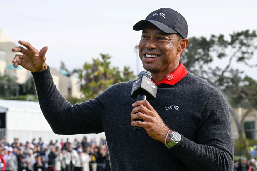 Tiger Woods says he expects a reunification in golf sooner rather than later