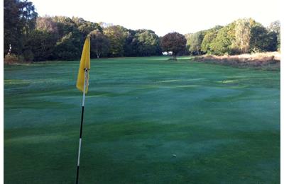 Thames Ditton and Esher Golf Club has been attacked by vandals a number of times in the last year.