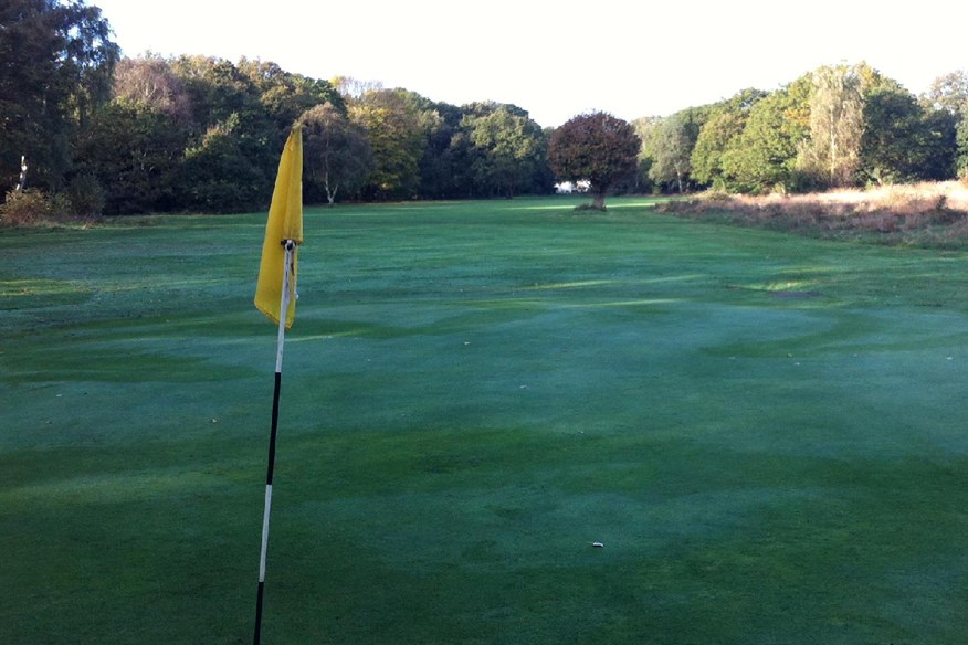 Thames Ditton and Esher Golf Club has been attacked by vandals a number of times in the last year.