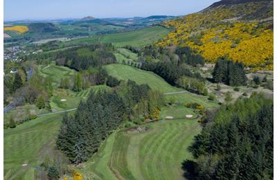 Melrose Golf Club is seeking a grant to help look after its great crested newt habitat.