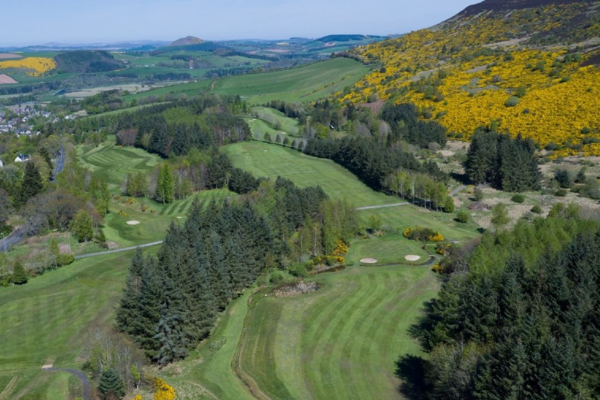 Melrose Golf Club is seeking a grant to help look after its great crested newt habitat.