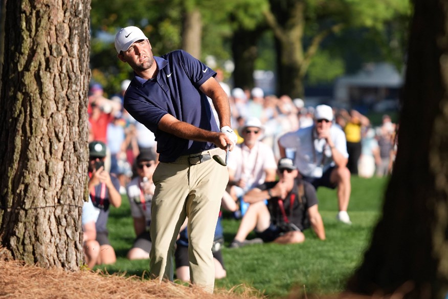 Scottie Scheffler wants to see more trees on PGA Tour golf courses - not fewer.