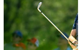 These irons are dominating the PGA Tour recently.