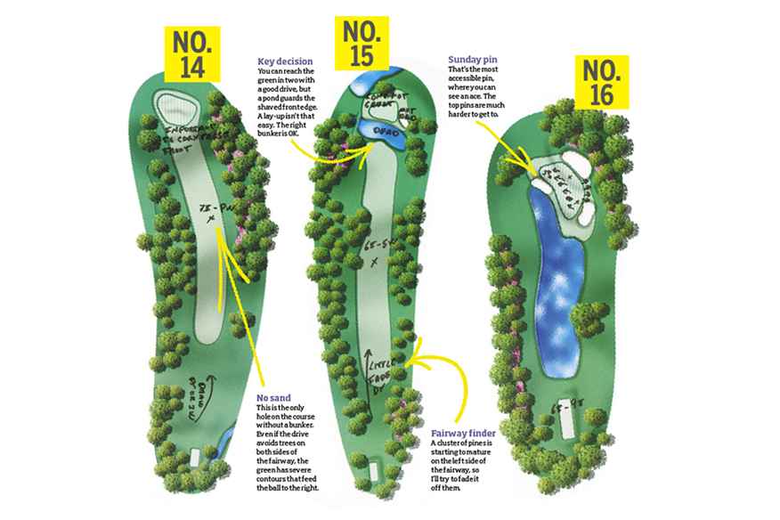 Augusta Holes