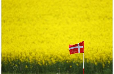 Expert selected Danish Golf Championship betting tips from Today's Golfer.