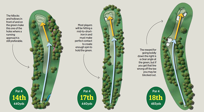 Augusta Holes
