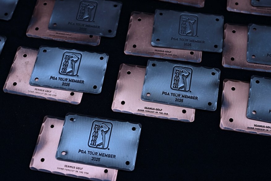 The top 10 DP World Tour players who are not already exempt will earn a PGA Tour card for next season.