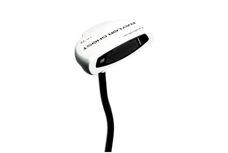 TaylorMade Raylor Fontana Ghost Mallet Putter Review | Equipment Reviews