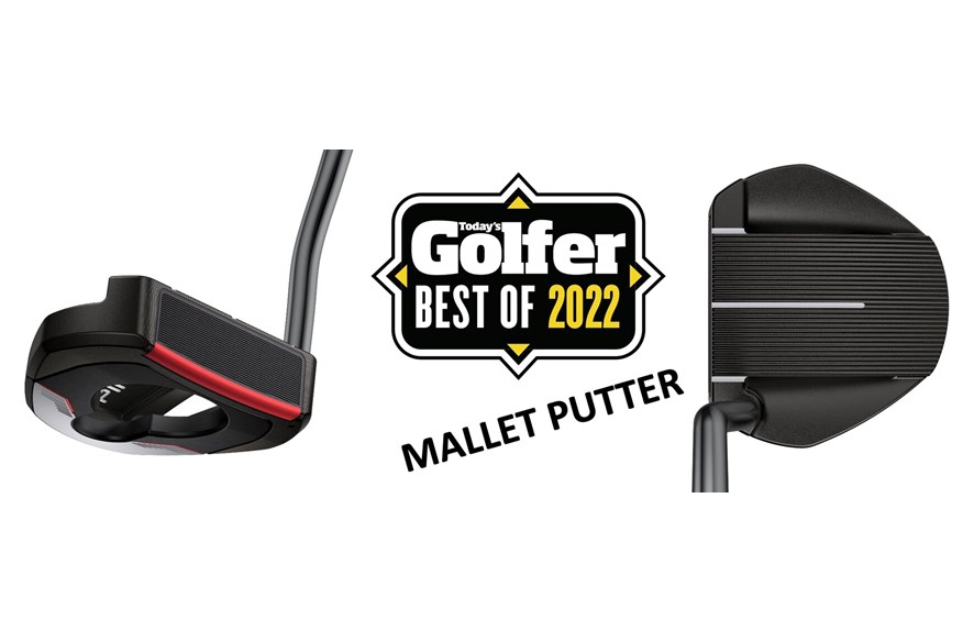 The Ping 2021 Fetch putter