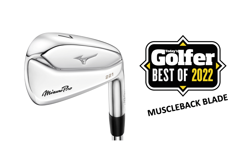 The Mizuno Pro 221 iron
